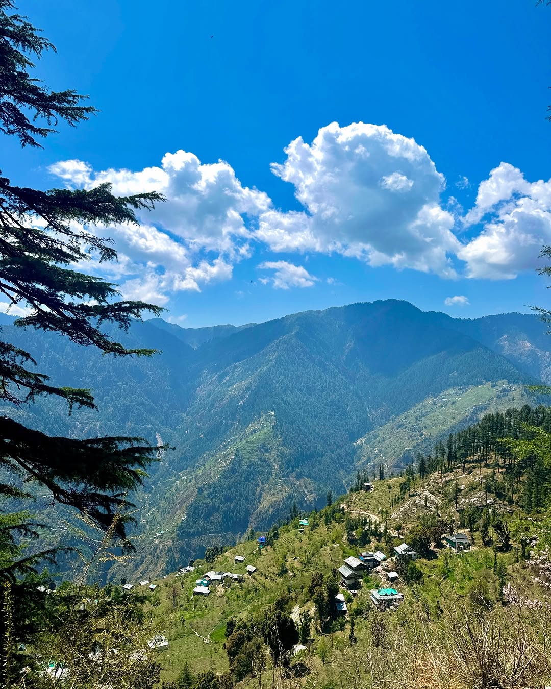 jibhi tour package