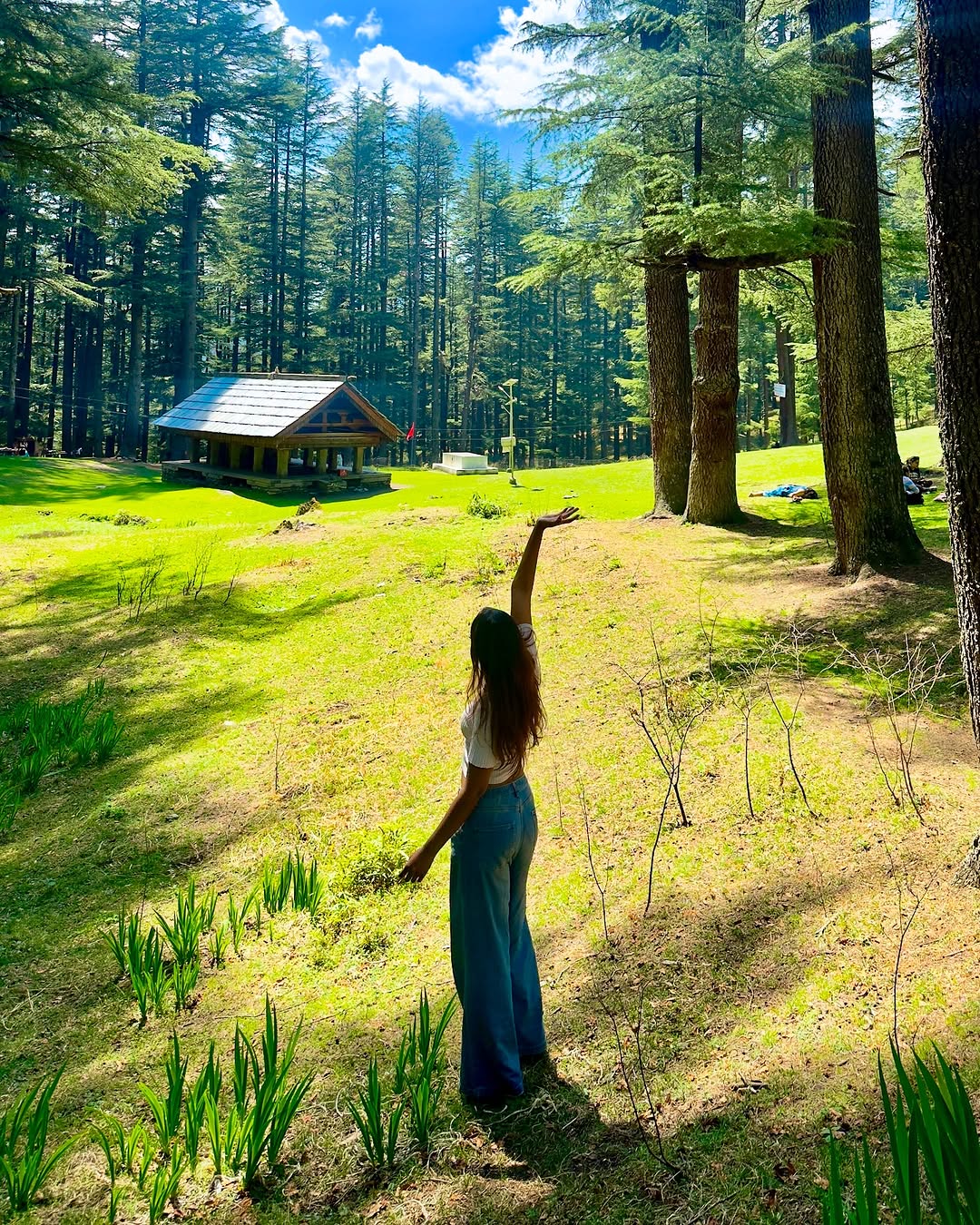 jibhi tour package