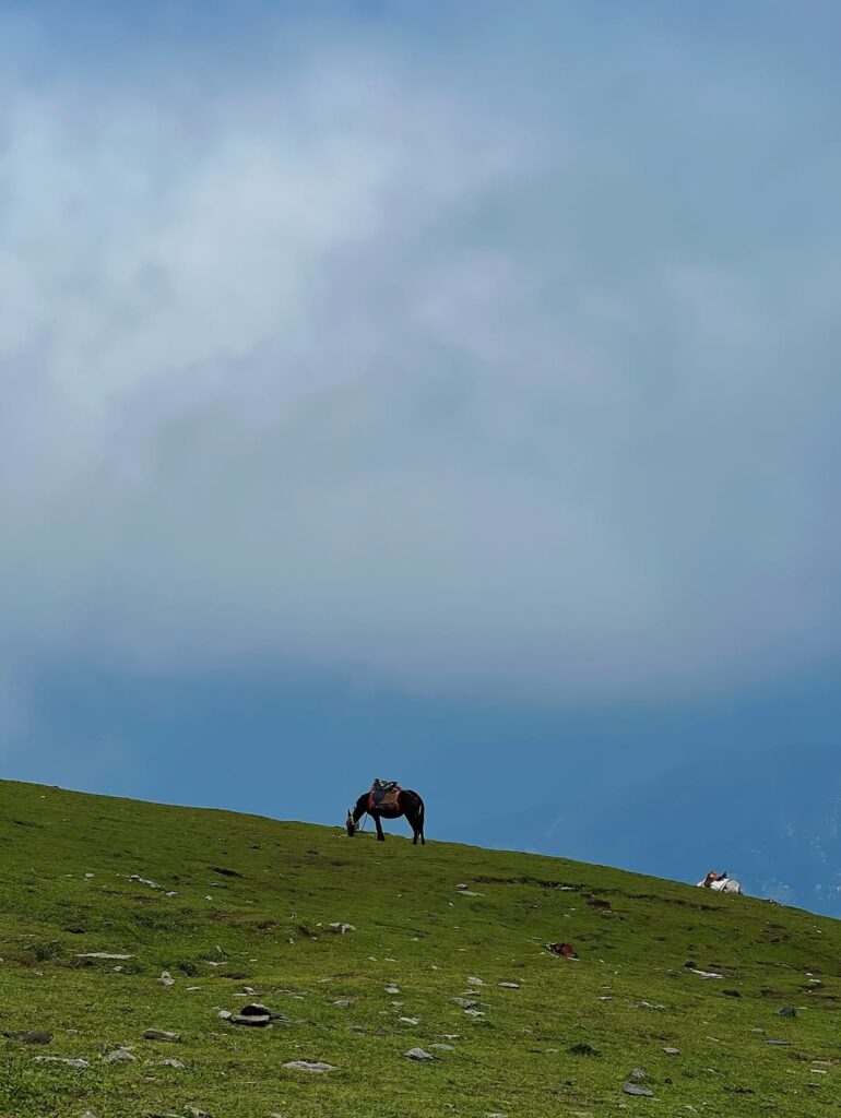 chopta tour package