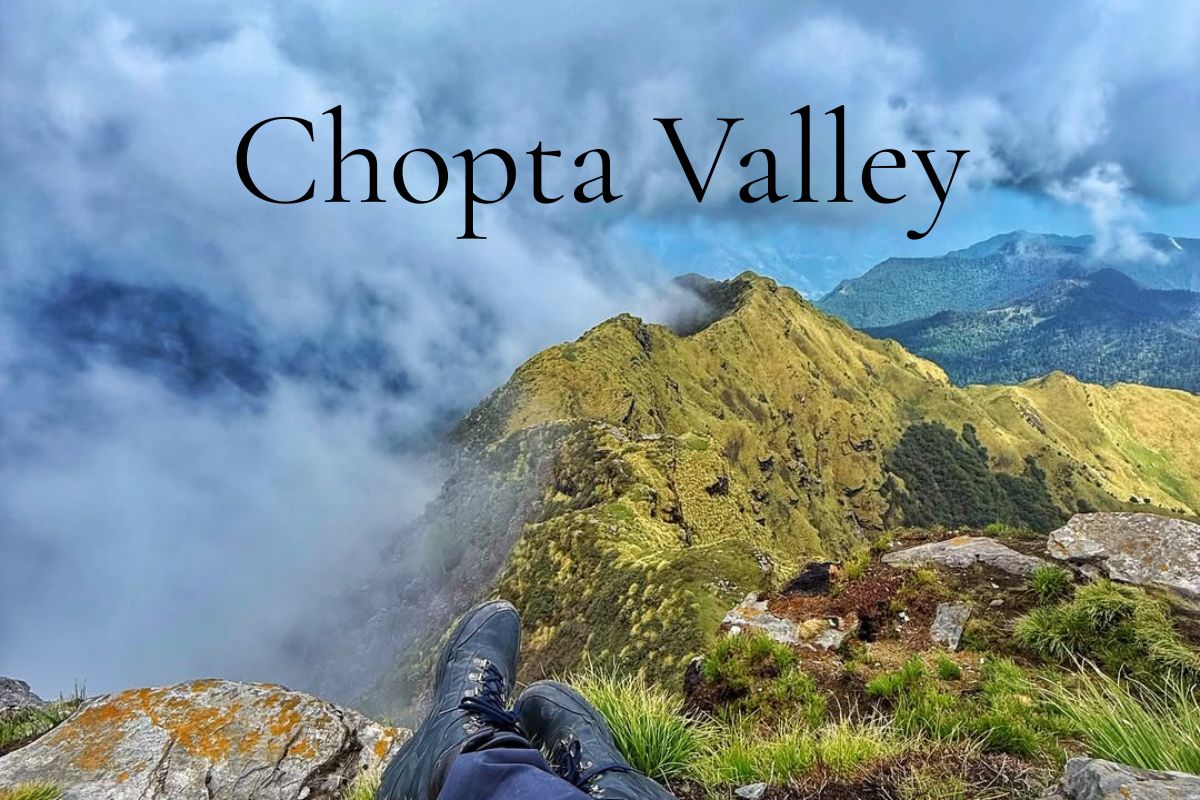 chopta tour package