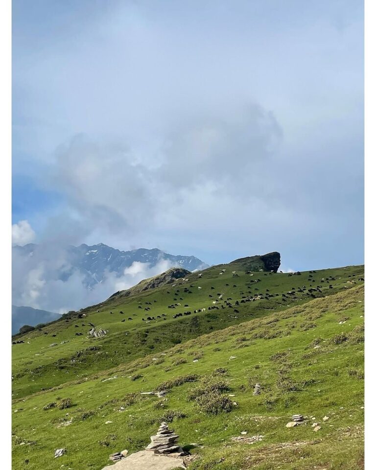 chopta tour package