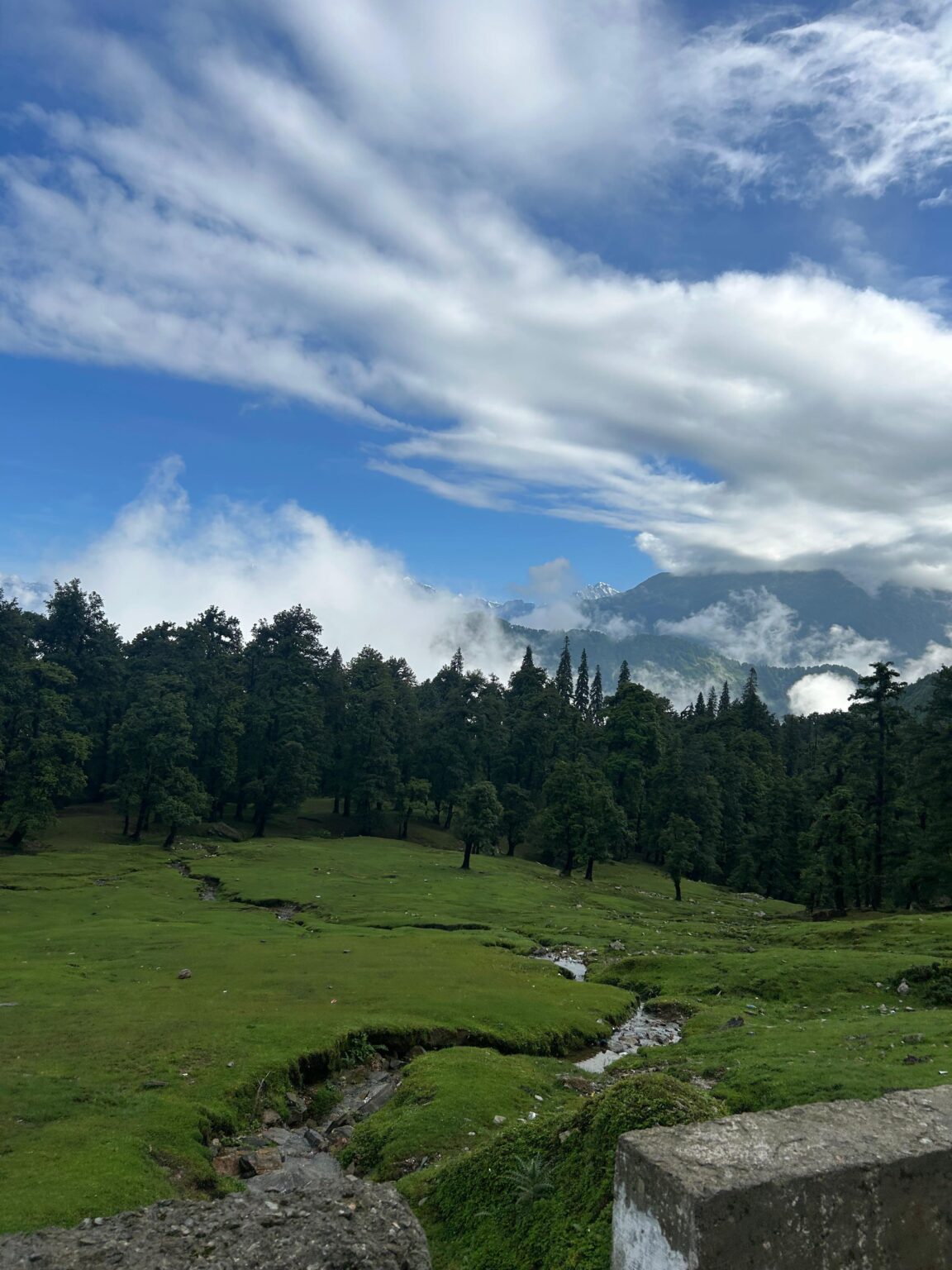 Budget Chopta Packages