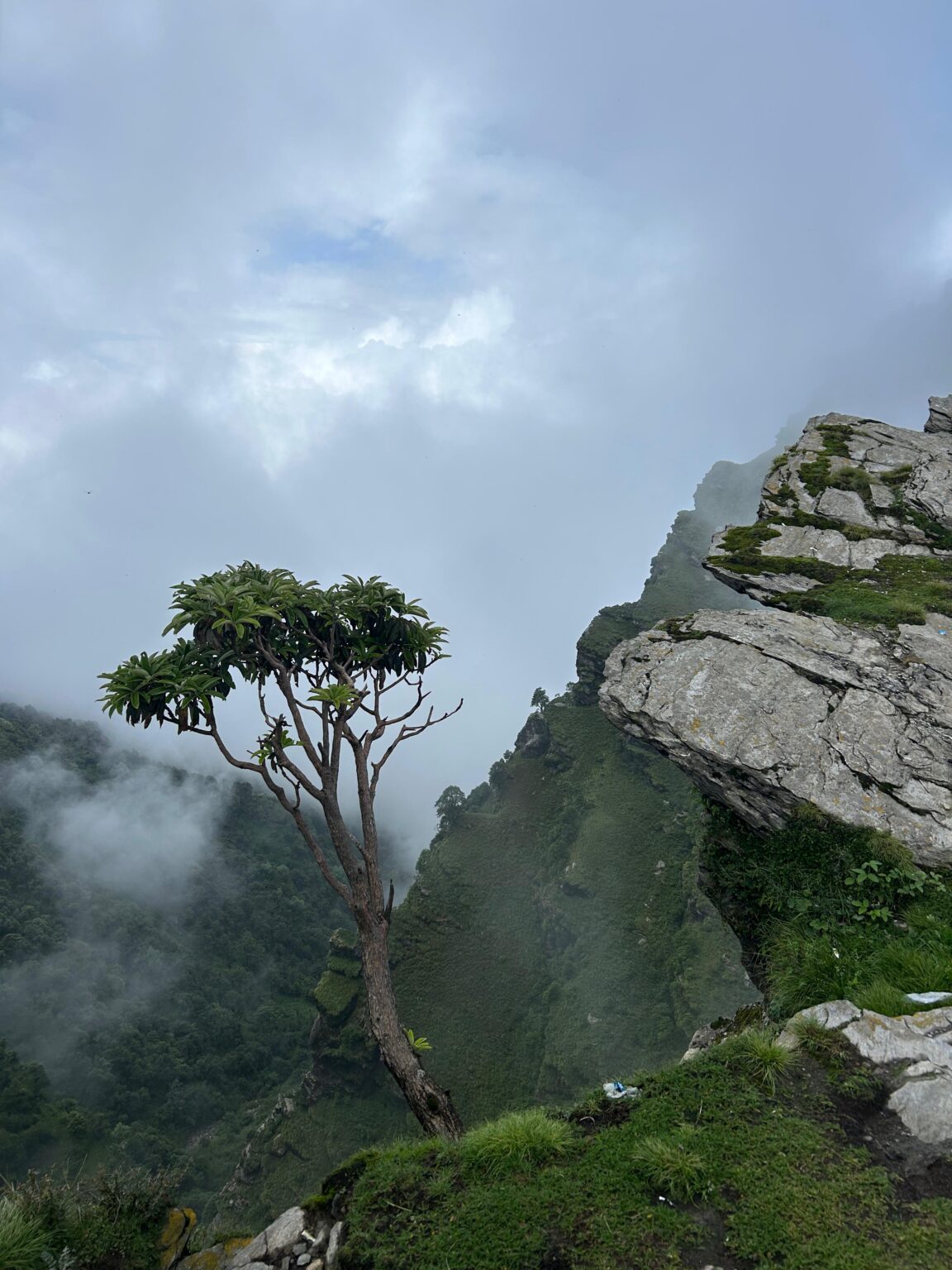 Tungnath Temple Trek
