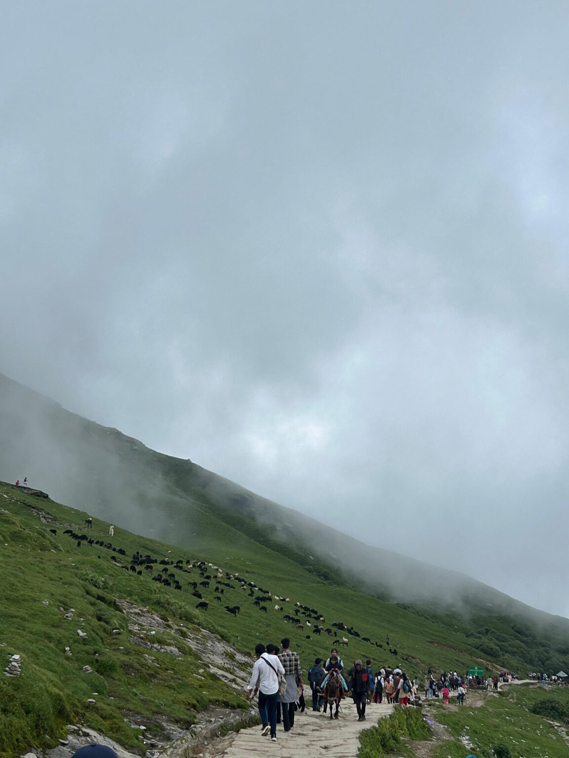 Adventure Trekking in Uttarakhand