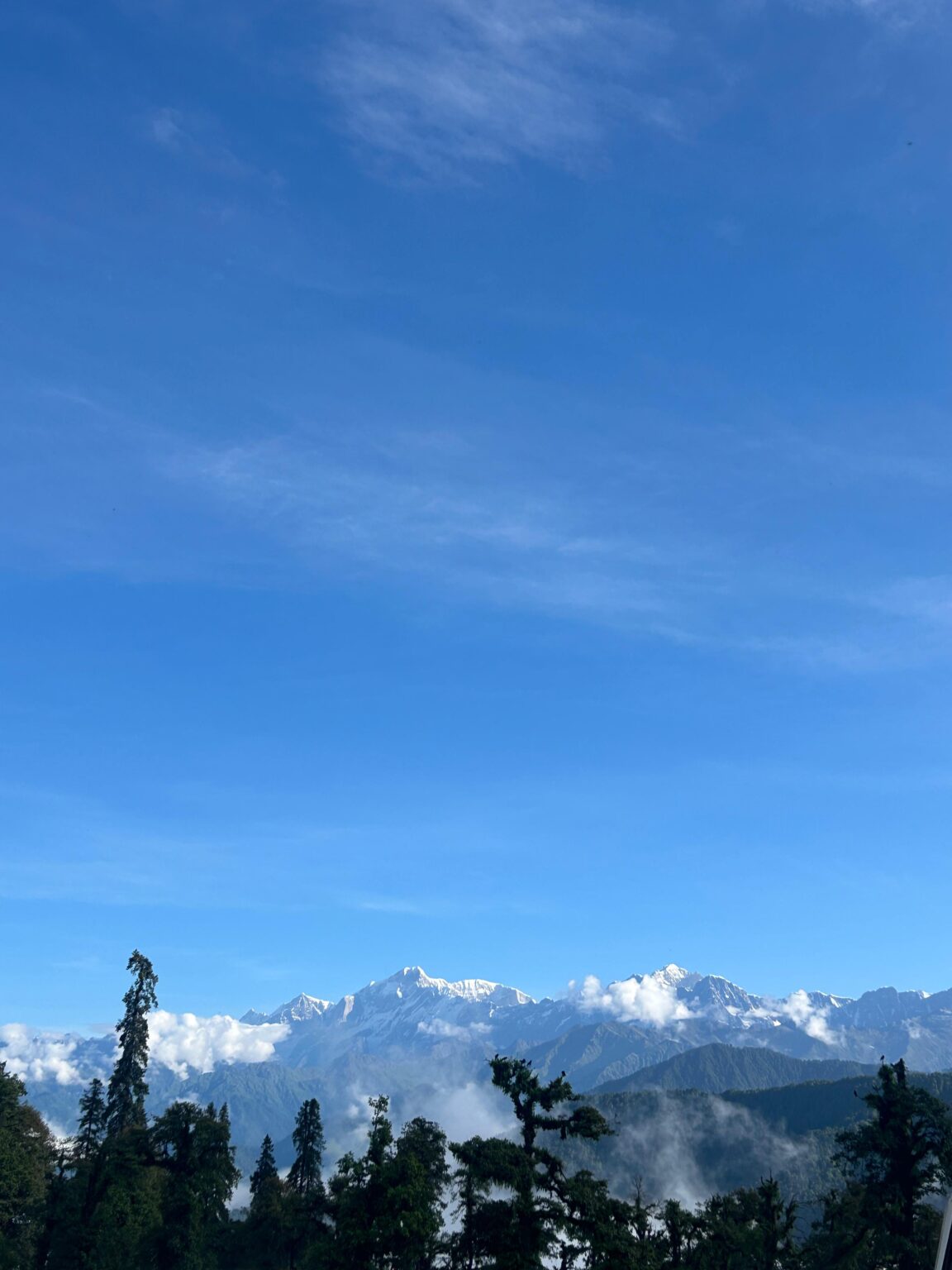 Chandrashila Summit Trek