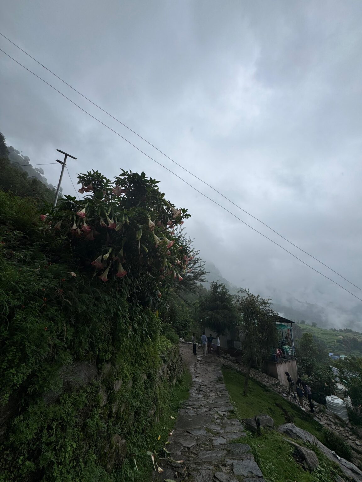 Budget Chopta Packages