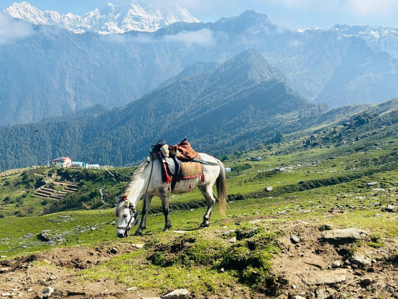 Chopta Tour Package 