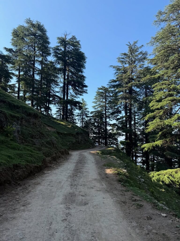 chakrata tour package