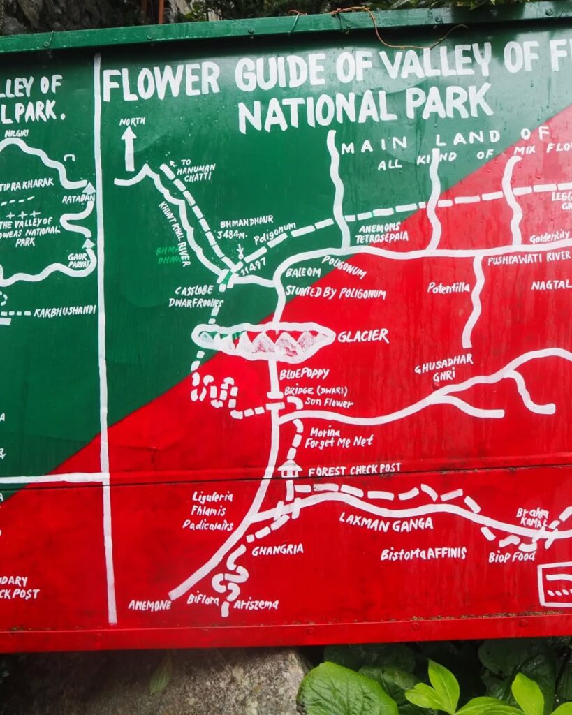 Valley of flowers tour package