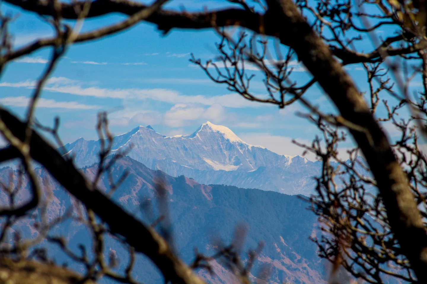 chakrata tour package