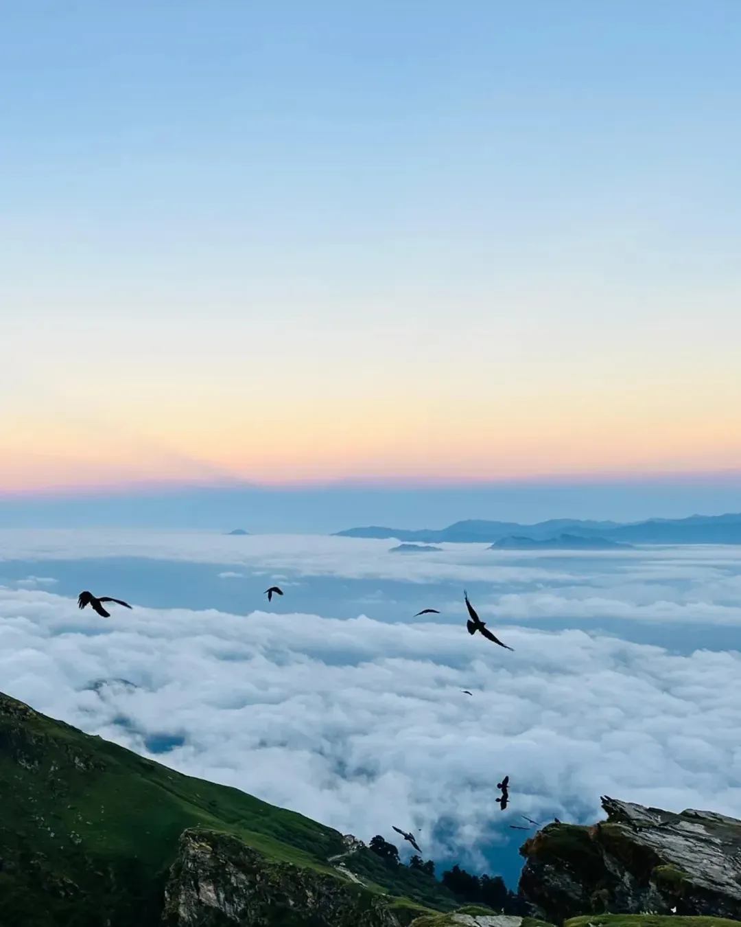 chopta tour package