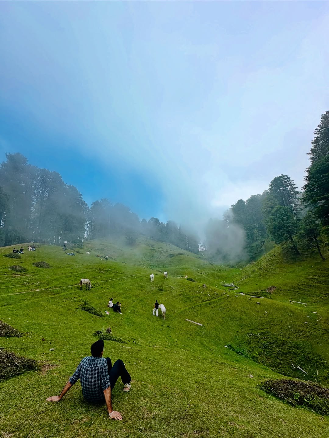 chakrata tour package
