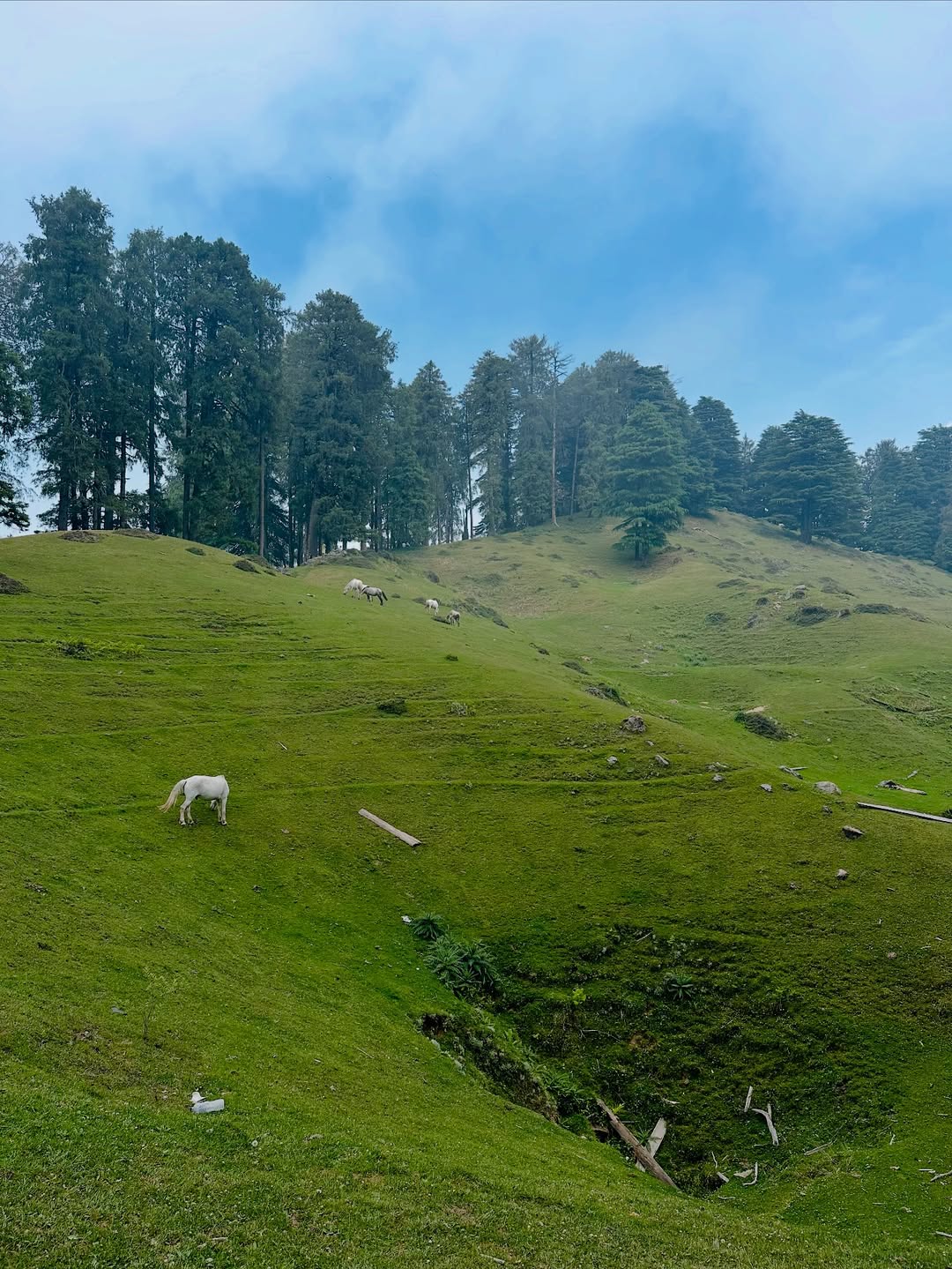 chakrata tour package