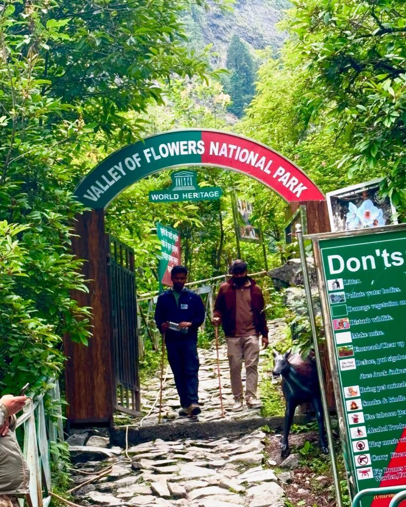 valley of flowers uttrakhand