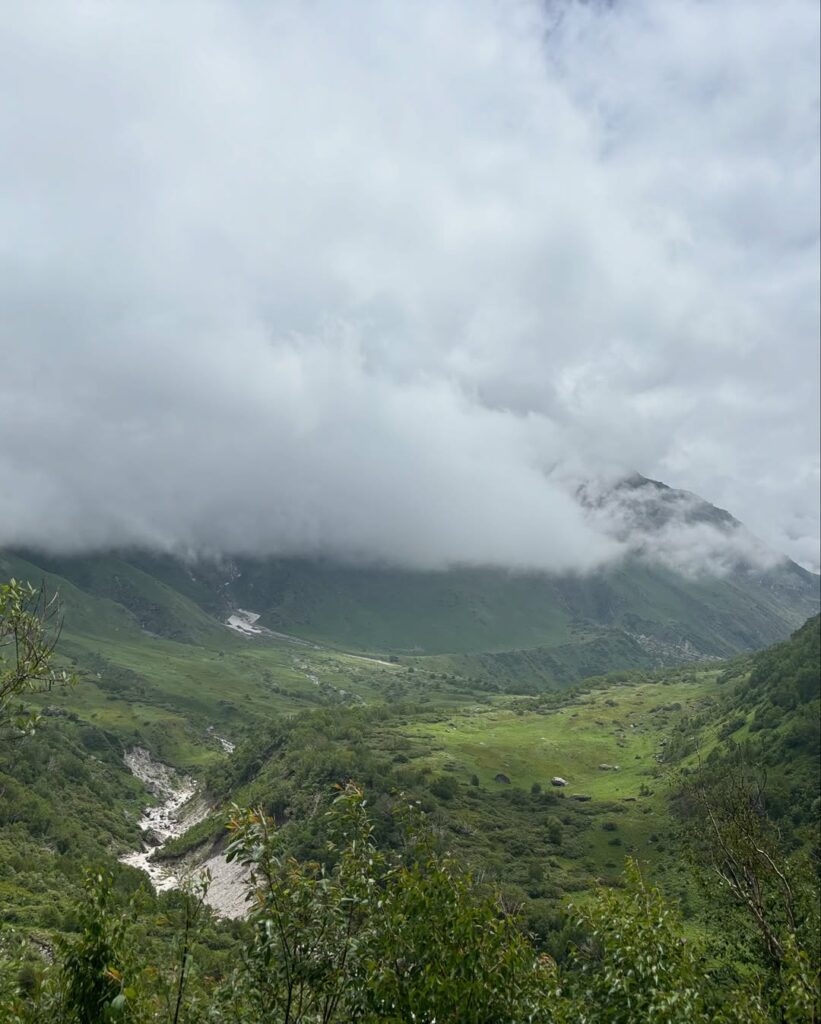 valley of flowers tour package
