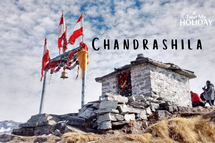 Chopta Tour Package