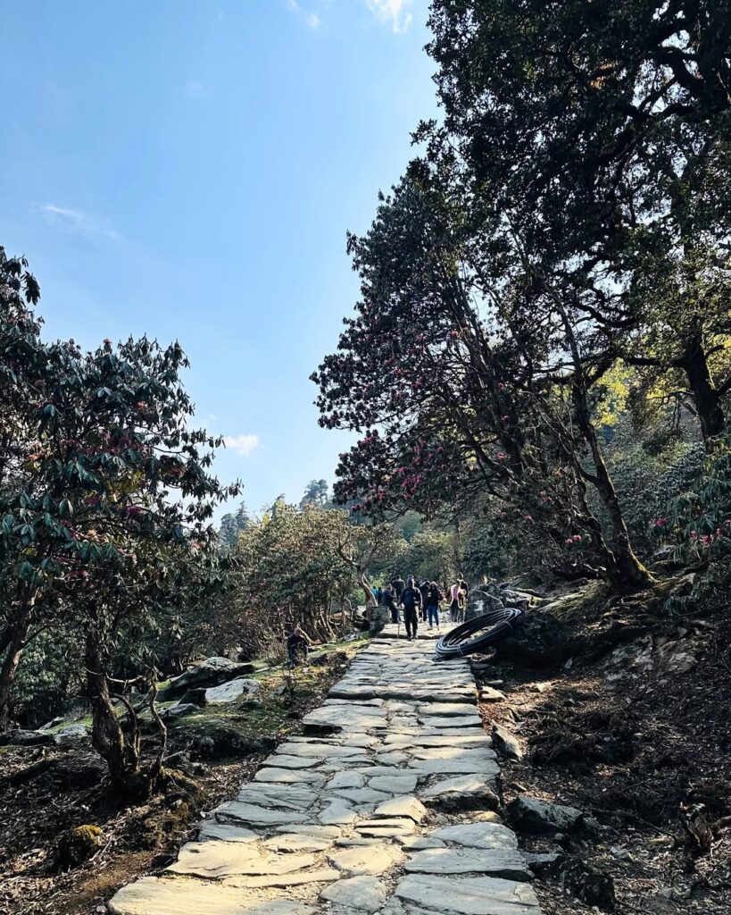 chandrashila trek 