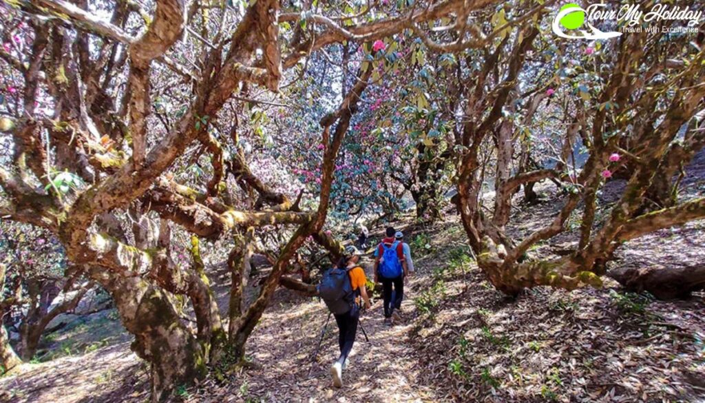 Tungnath temple trek