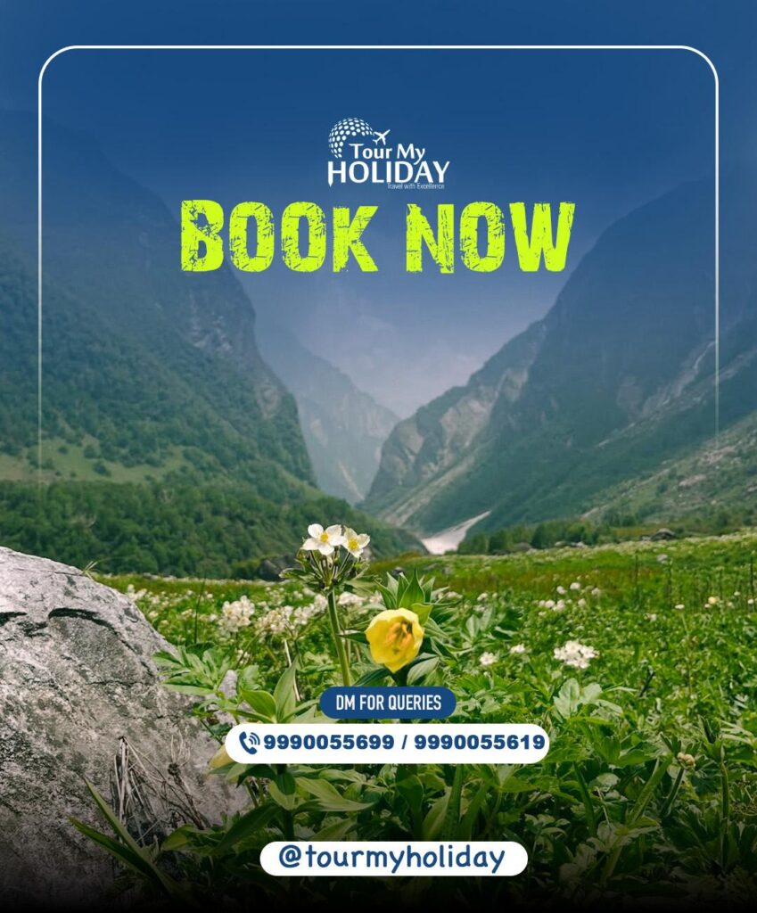 valley of flowers tour package 