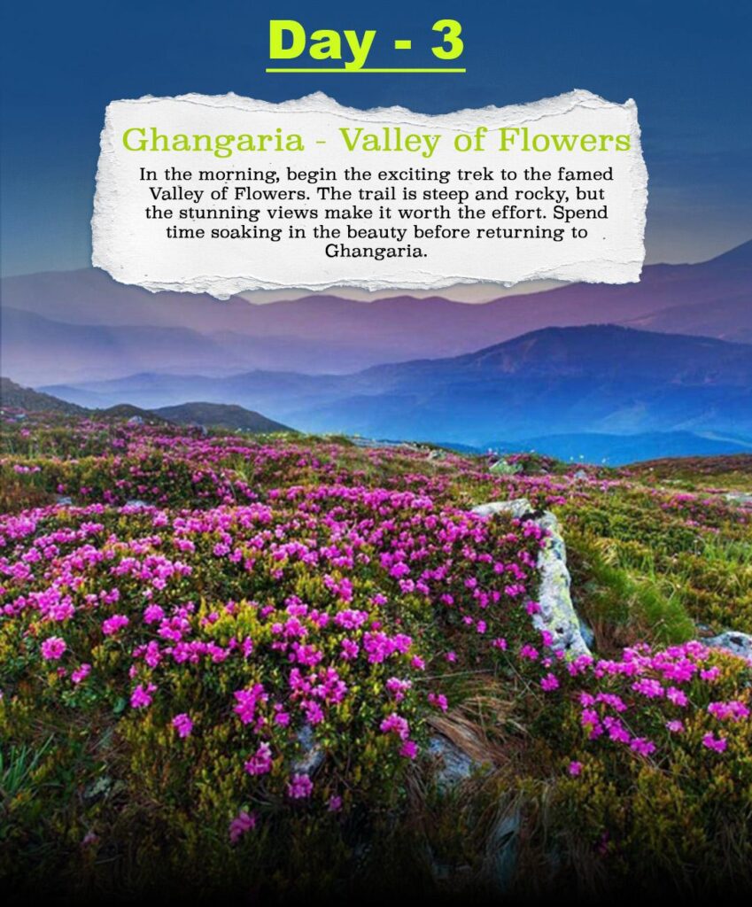 valley of flowers tour package from mumbai