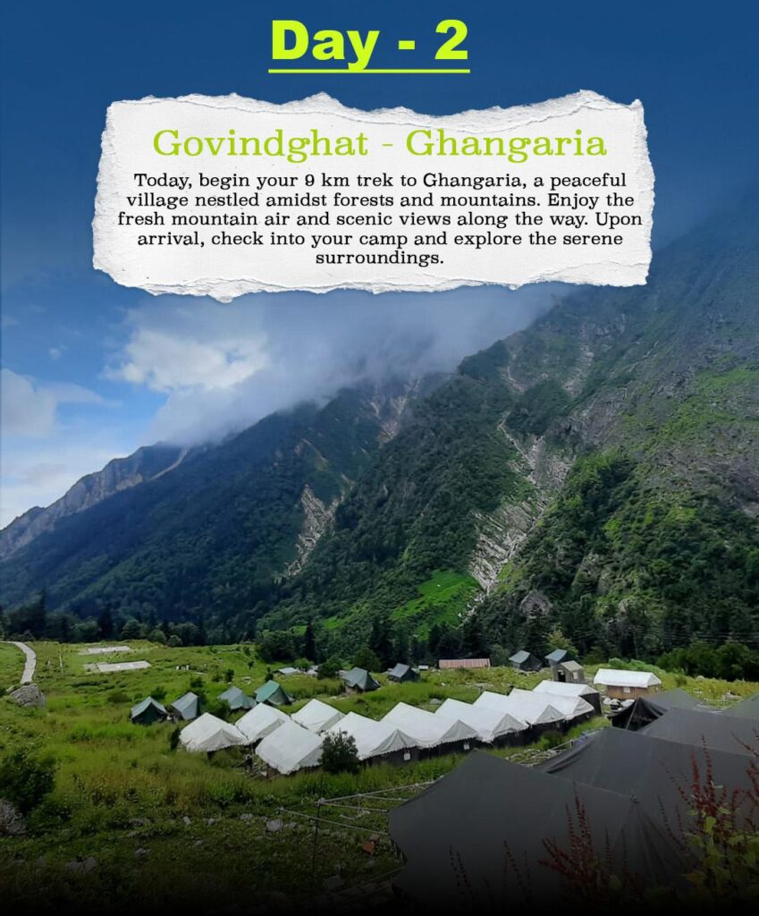 valley of flowers trek package