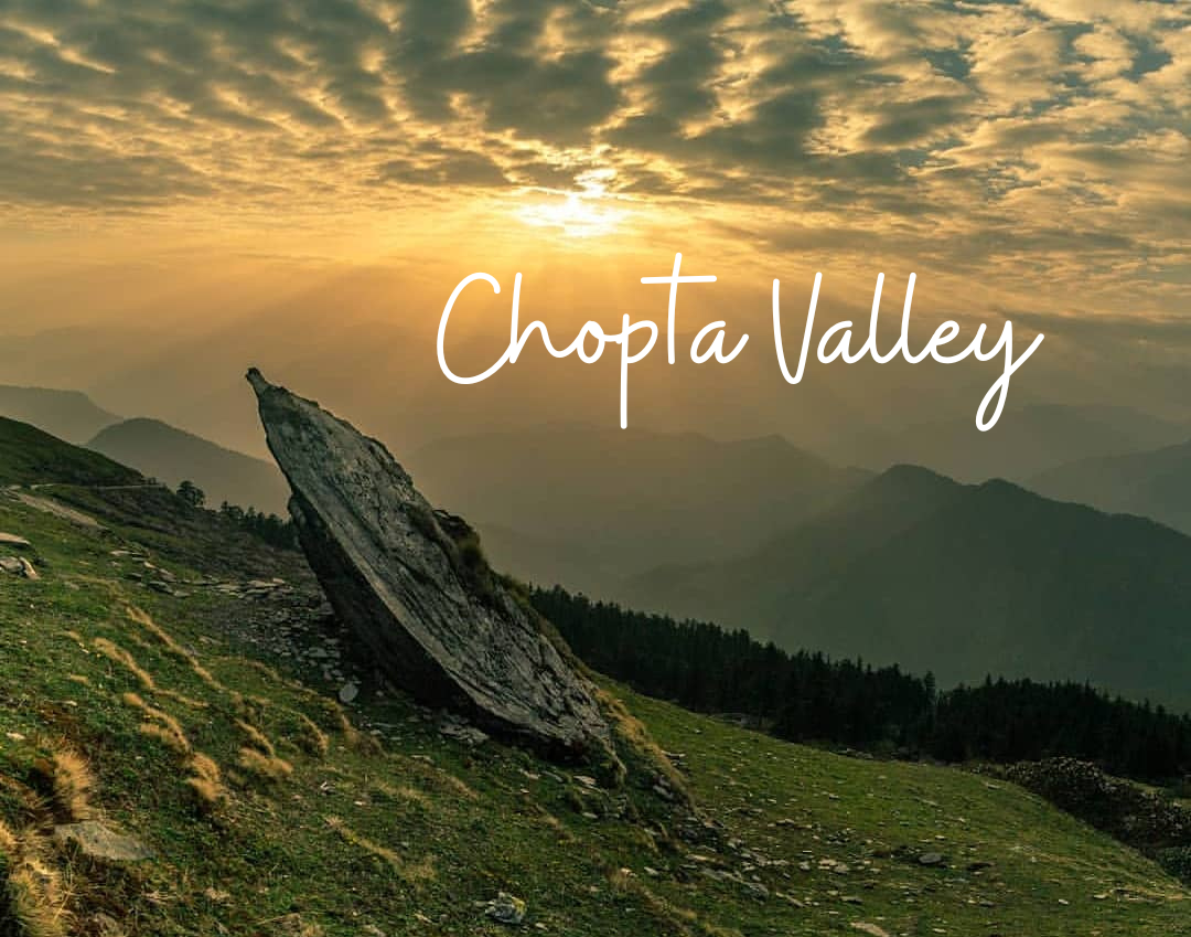 Chopta Tour Package
