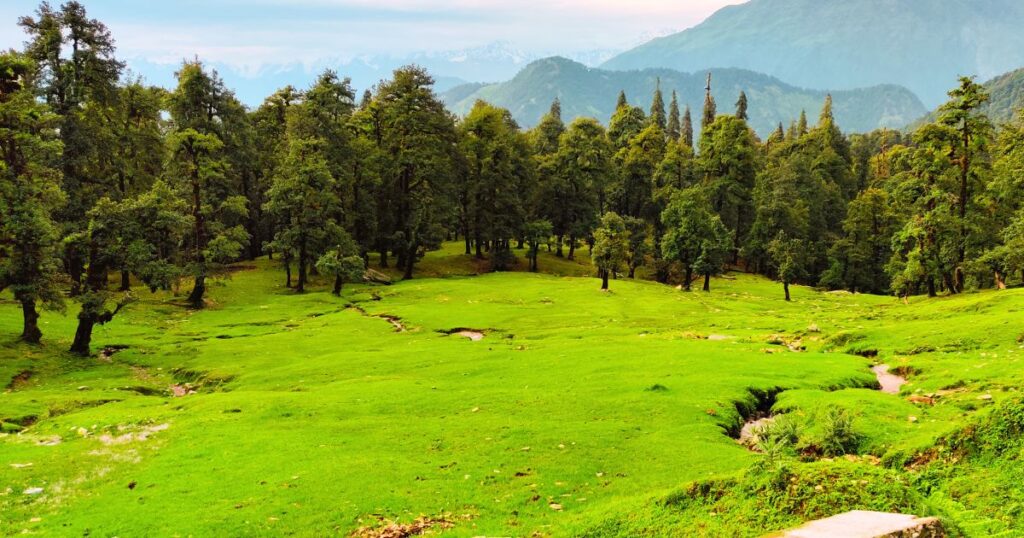 chopta tour package