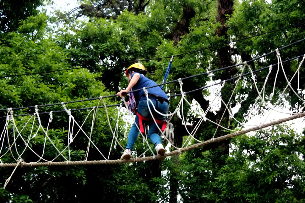 chopta tour package