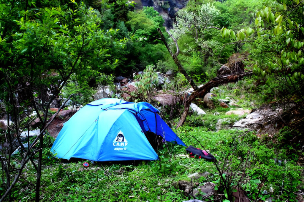 chopta tour package