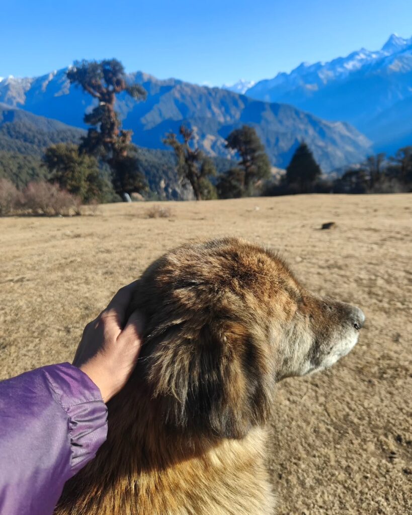 dayara bugyal tour package