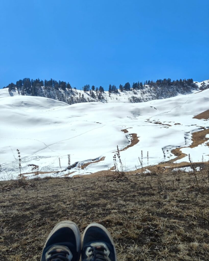 dayara bugyal tour package