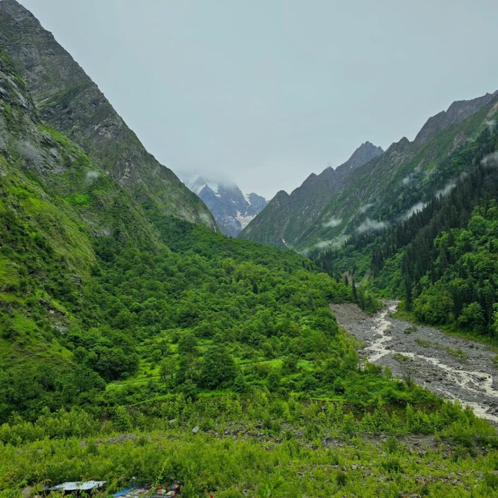 VALLEY OF FLOWERS INDIA 