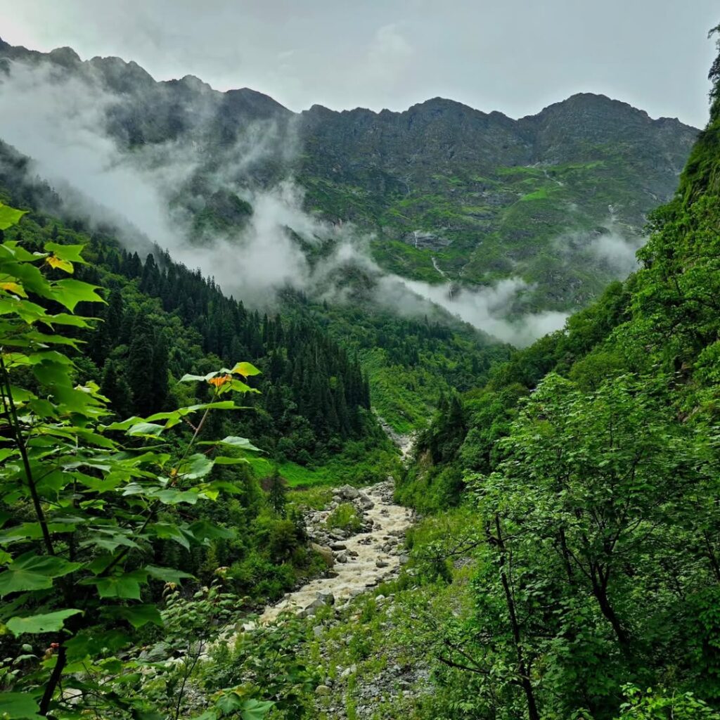 valley of flowers tour package