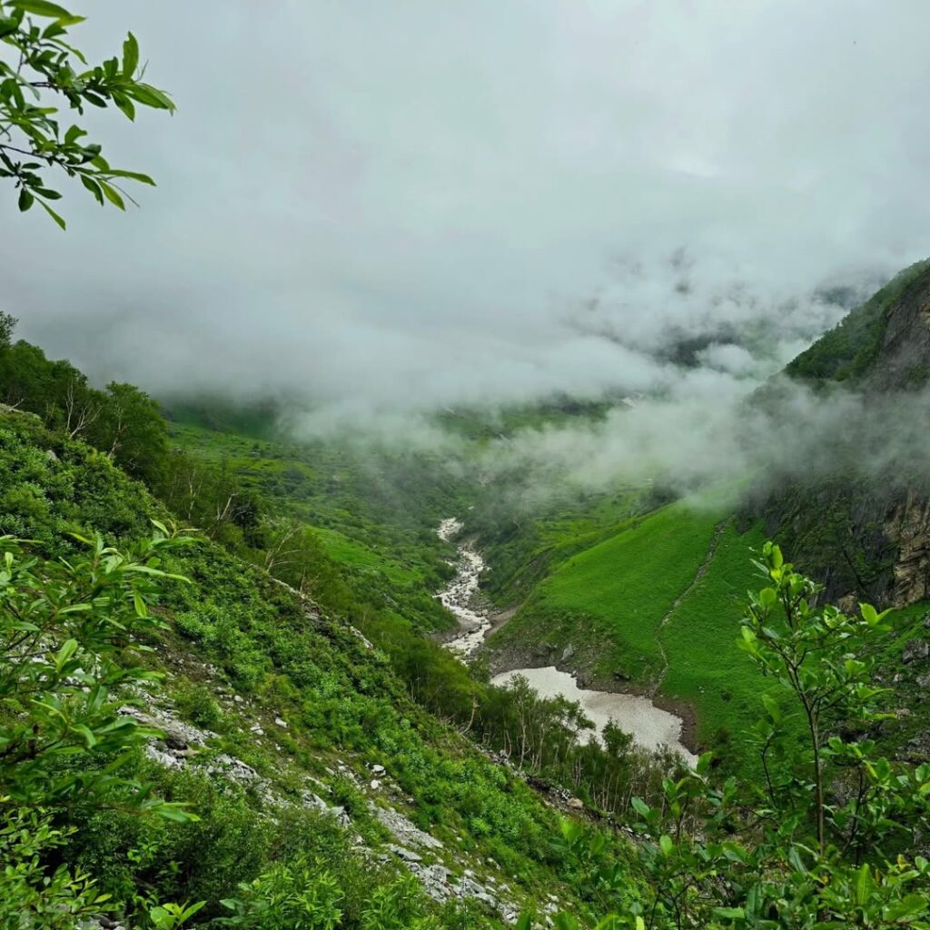 valley of flowers tour package