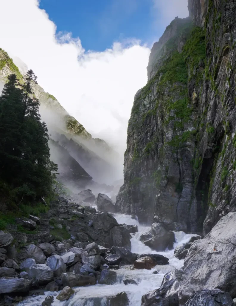 valley of flowers trek packages 
