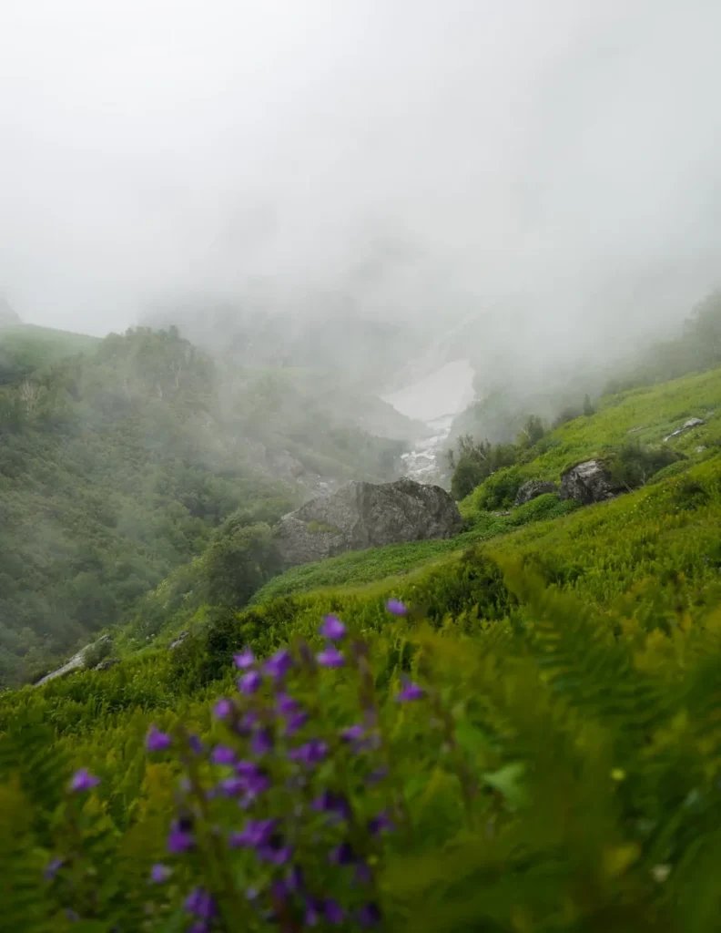uttrakhand valley of flowers 