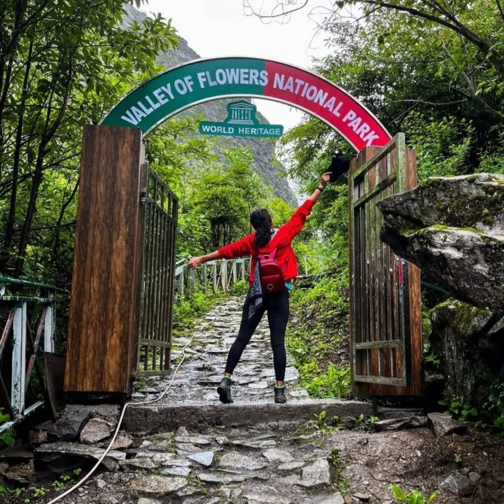 valley of flowers tour package