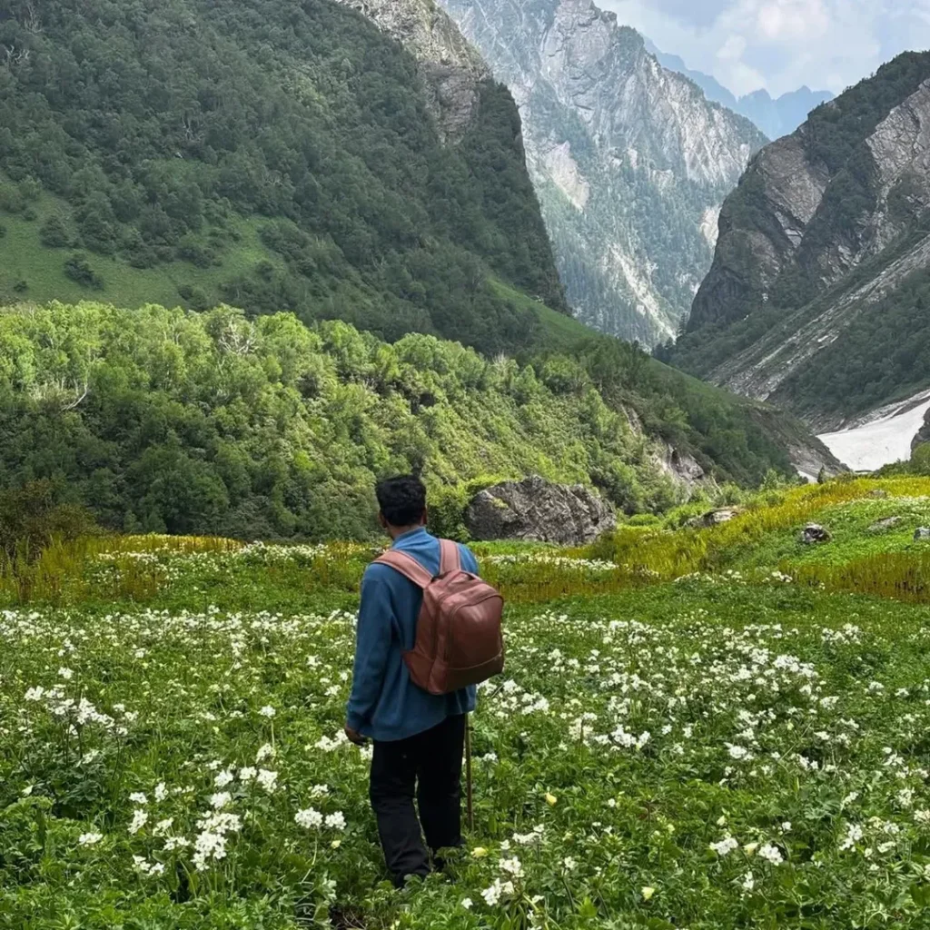 valley of flowers tour package