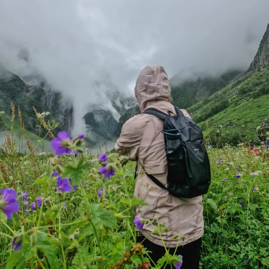 valley of flowers tour package from delhi 