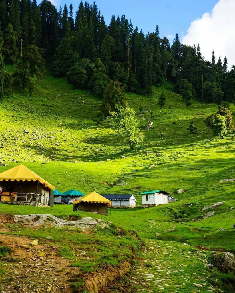 Chopta Tour Package
