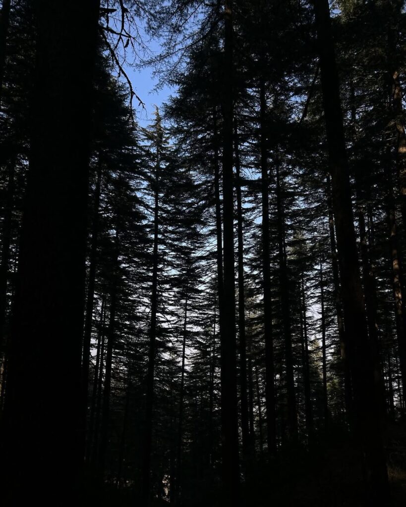 kanatal tour Package