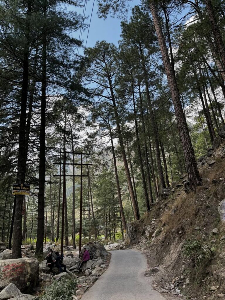 manali tour package