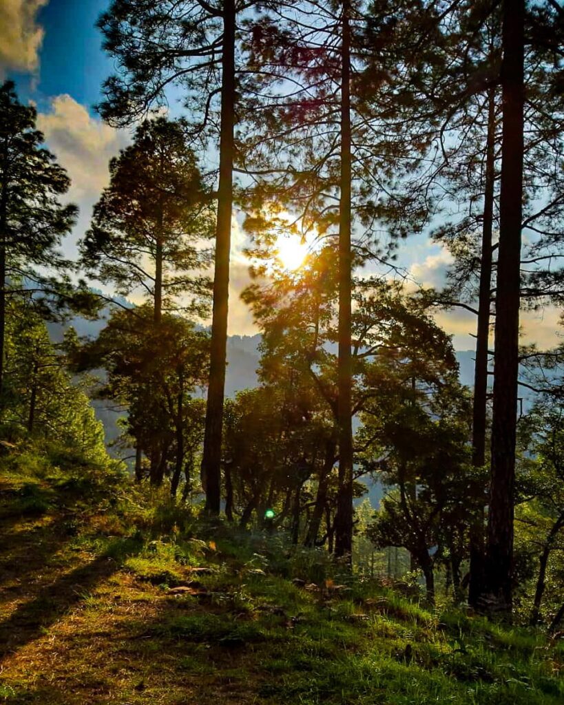 kanatal tour package