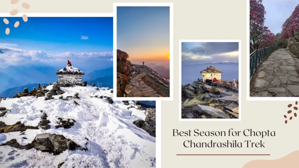 chopta tour package