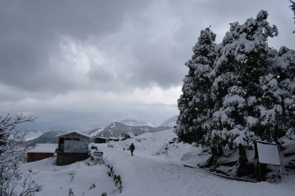 chopta tour package