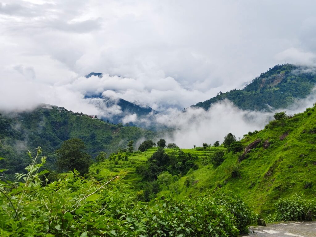 chopta tour package