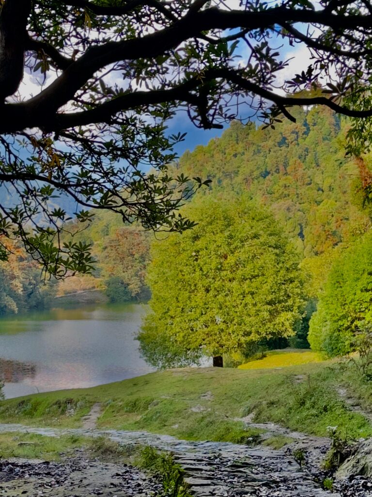 chopta tour package