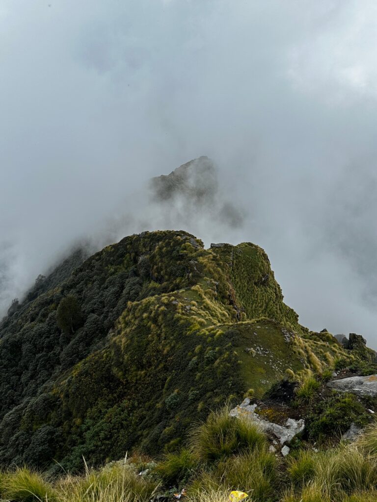 chopta tour package