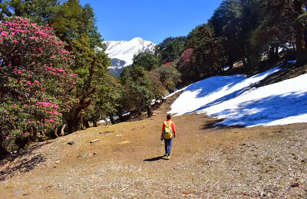 chopta tour package