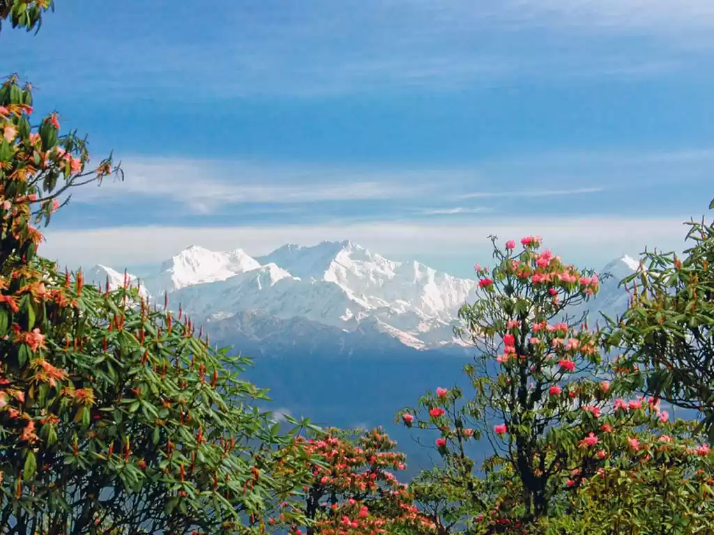 chopta tungnath trek